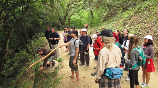 Leading the Bay Area Foragers class at Strawberry Canyon
